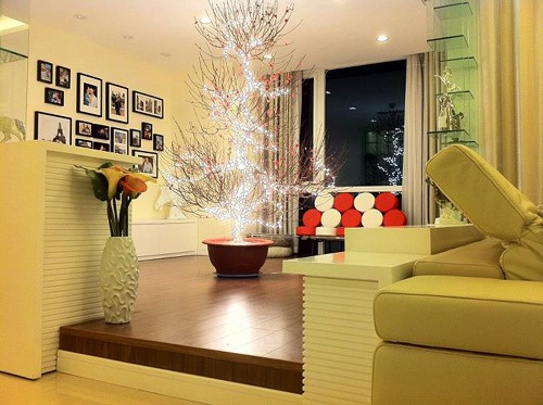 Đèn nháy dây, đèn dây bóng tròn nhỏ hoặc đèn led phù hợp trang trí nhà ngày Tết.